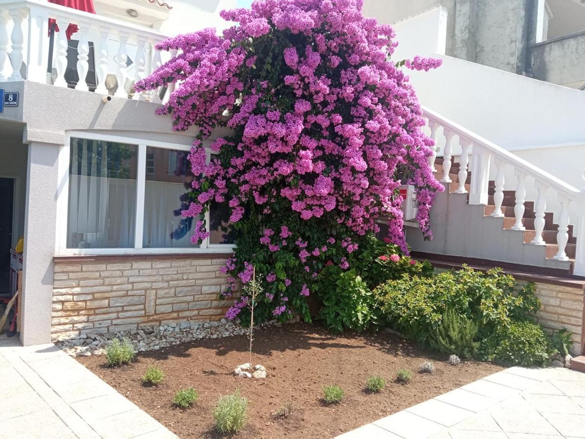 Apartment Cherish Novalja